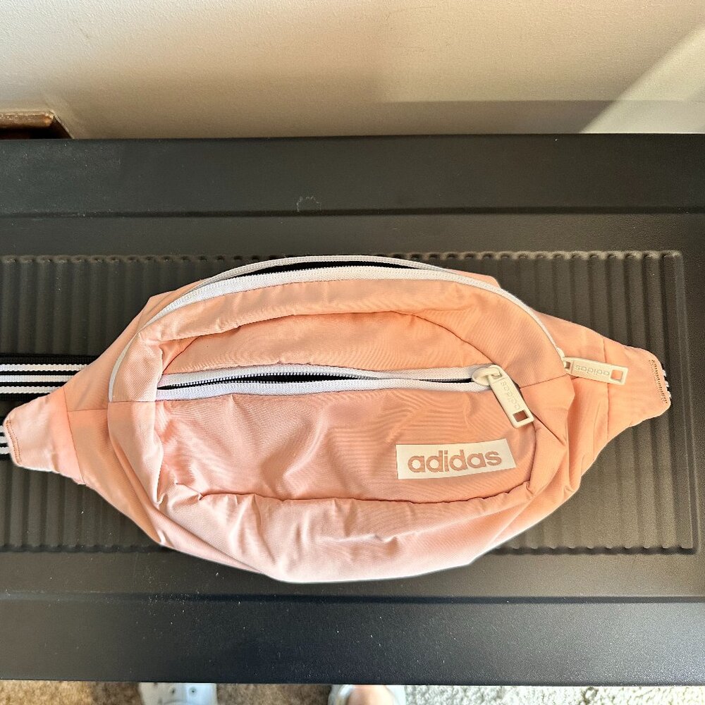 Fanny pack bag/cross body